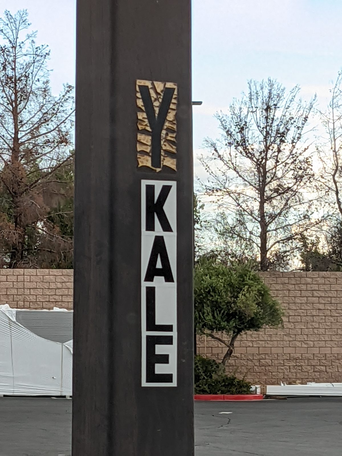 Y KALE?