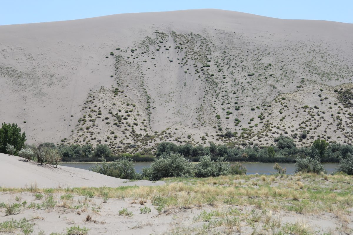 Bruneau Dunes State Park, Idaho