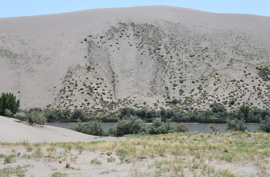 Bruneau Dunes State Park, Idaho