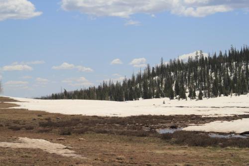 Snow at about 10000 feet