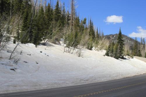 Snow at about 10000 feet