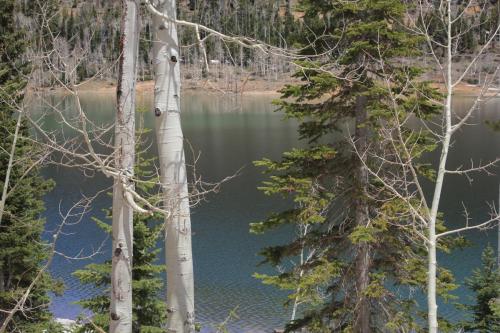 Navajo Lake